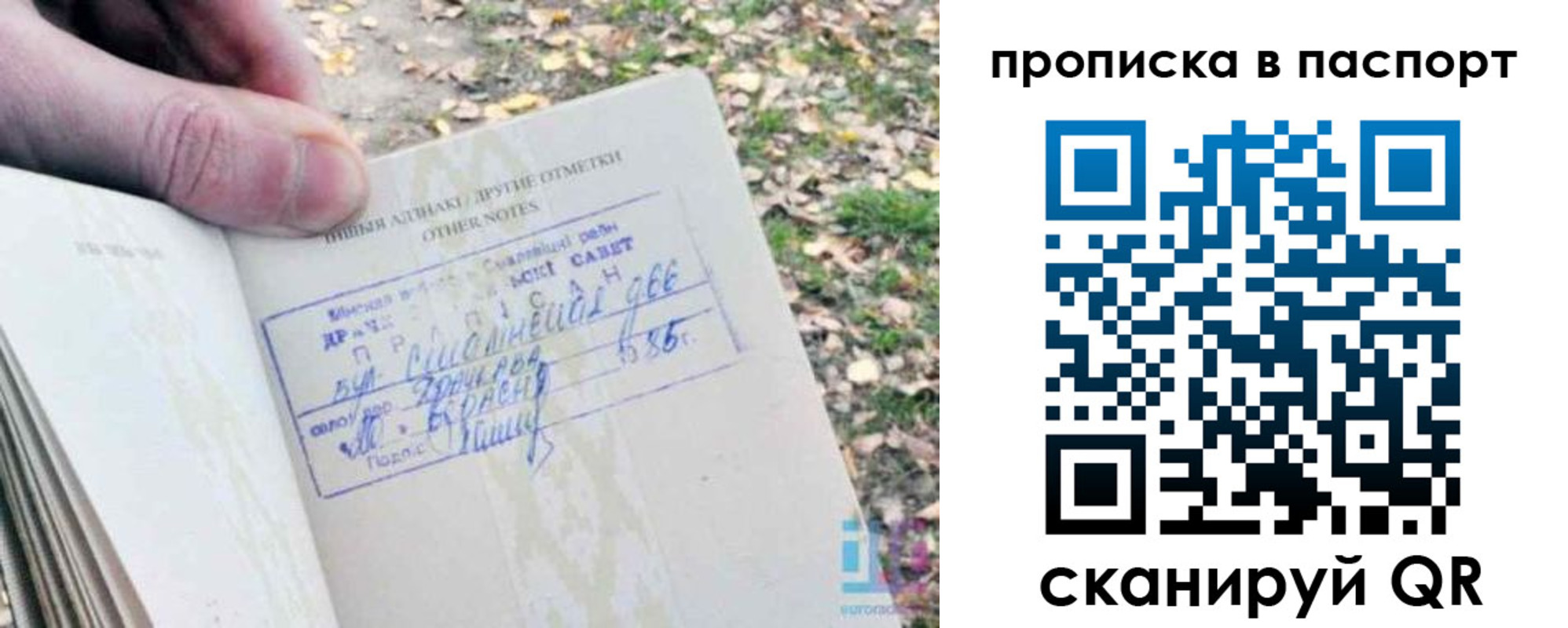 купить прописку в Оленегорске